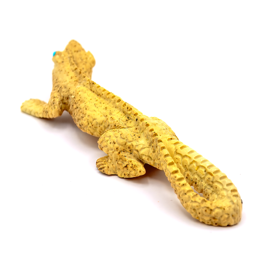 Fishrock (Serpentine) Lizard