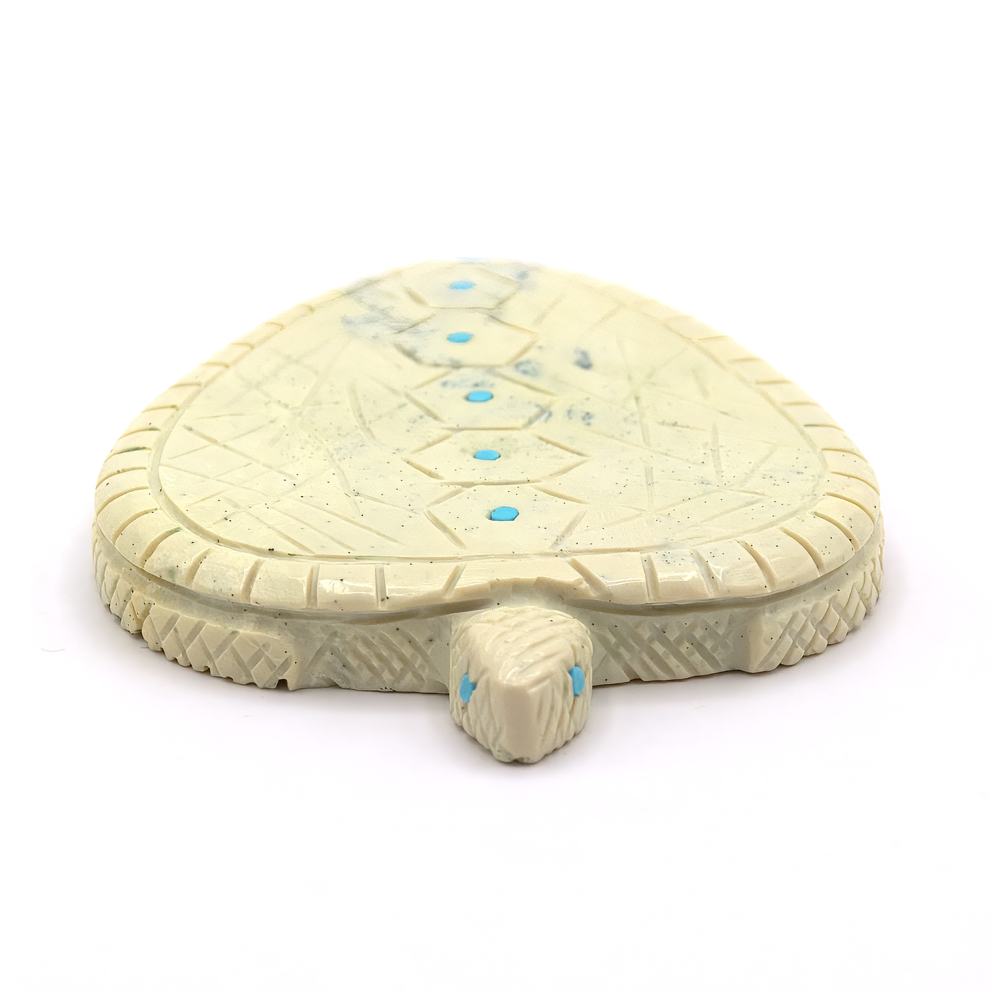 Serpentine (Fishrock)  Sea Turtle